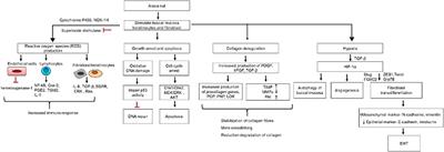 Oral Potentially Malignant Disorders: Etiology, Pathogenesis, and Transformation Into Oral Cancer